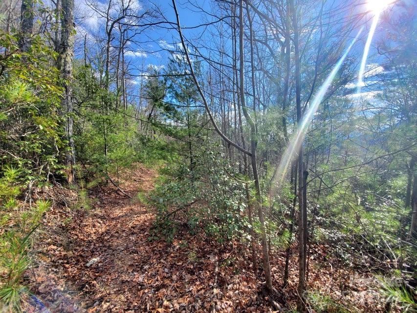 Tbd Elkins Road Bakersville NC 28705