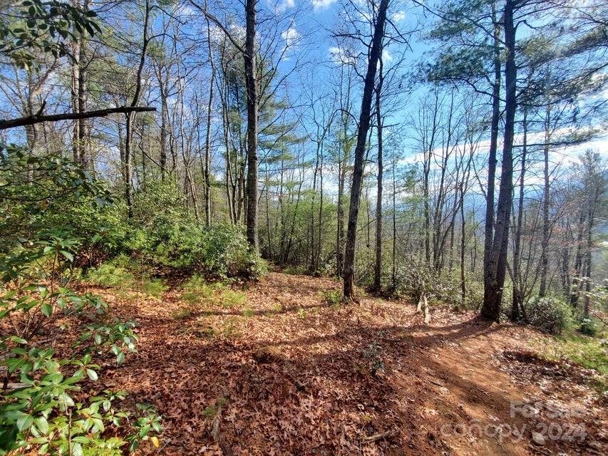 Tbd Elkins Road Bakersville NC 28705