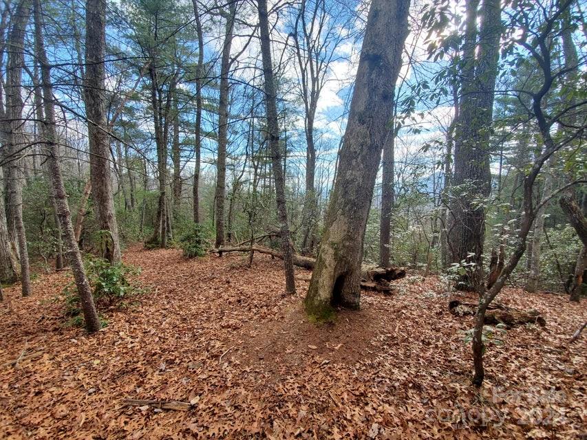 Tbd Elkins Road Bakersville NC 28705