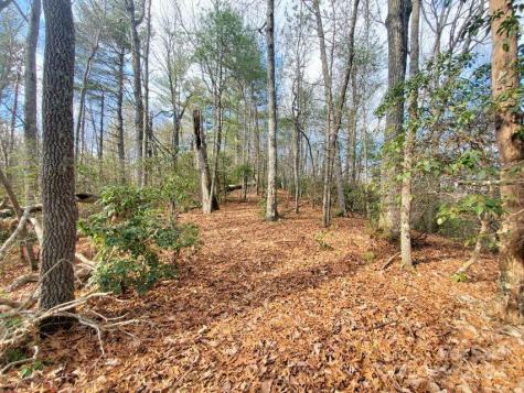 Tbd Elkins Road Bakersville NC 28705