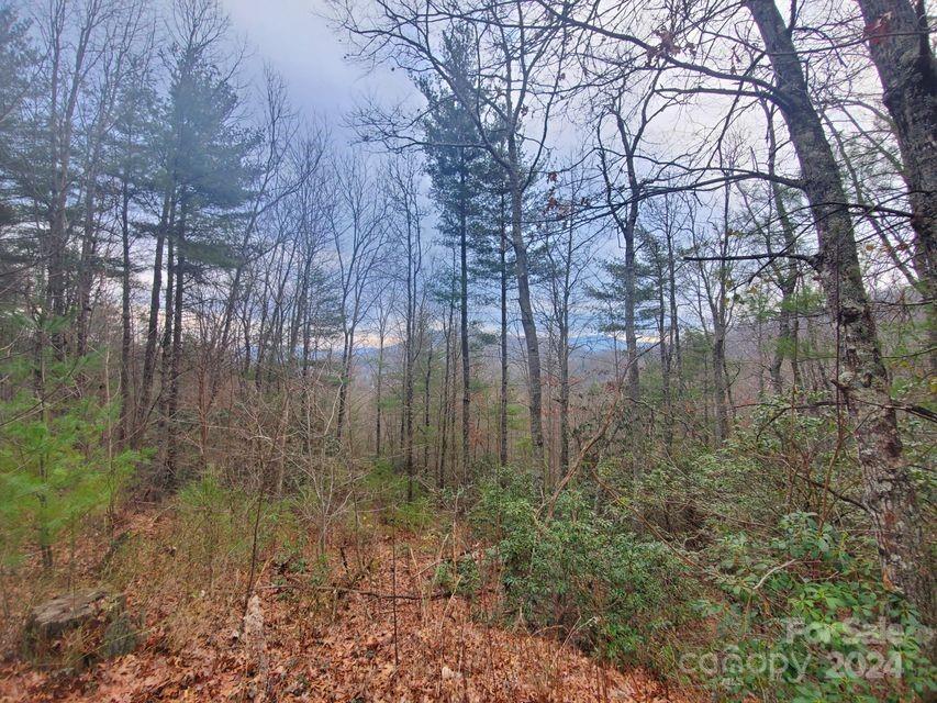 Tbd Elkins Road Bakersville NC 28705