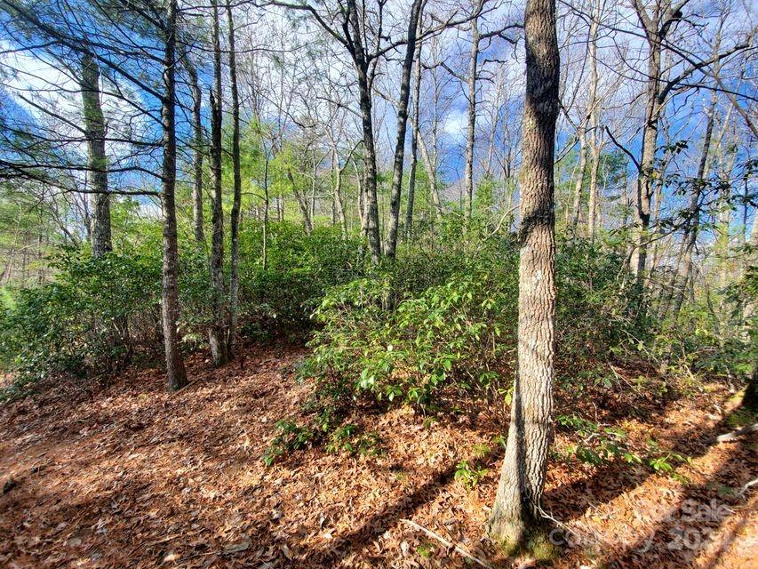 Tbd Elkins Road Bakersville NC 28705