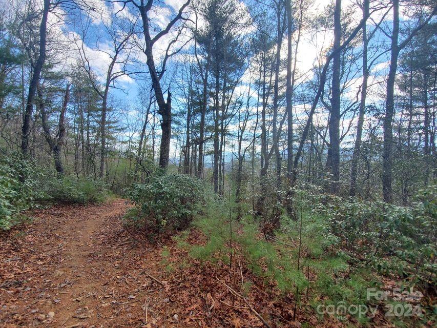 Tbd Elkins Road Bakersville NC 28705