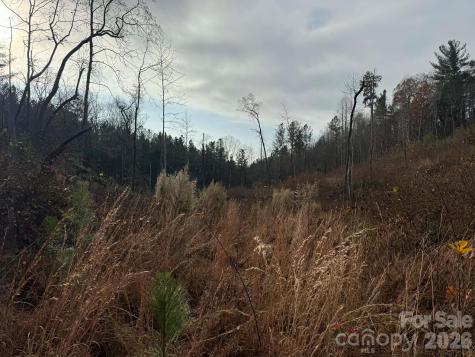 Tbd Old Railroad Grade Road Thurmond NC 28683