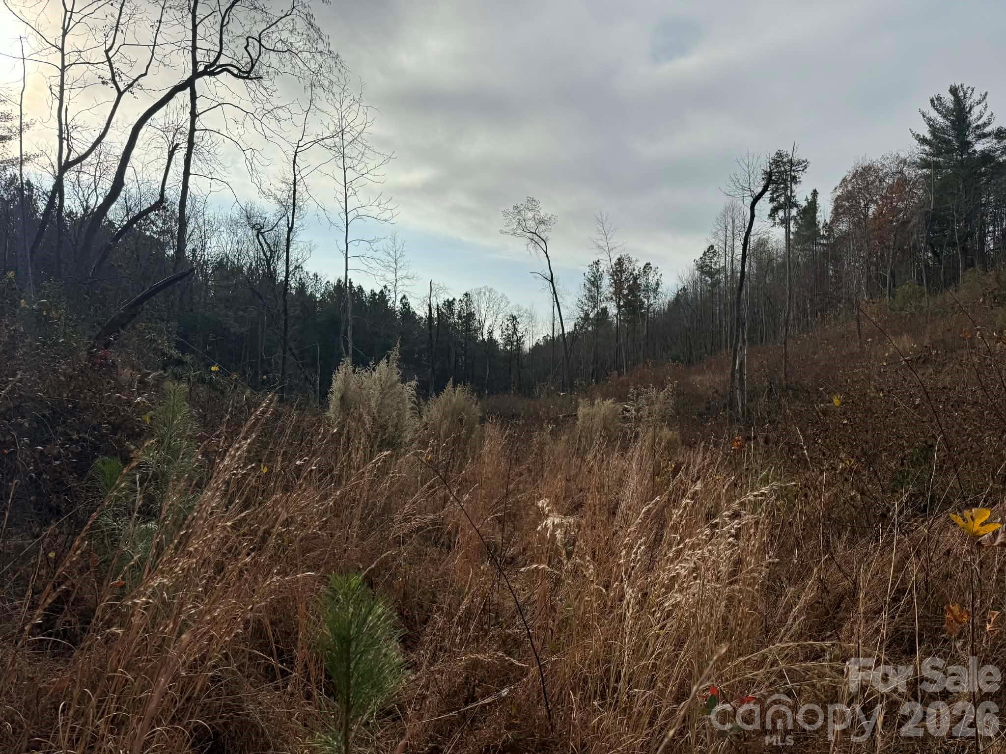 Tbd Old Railroad Grade Road Thurmond NC 28683