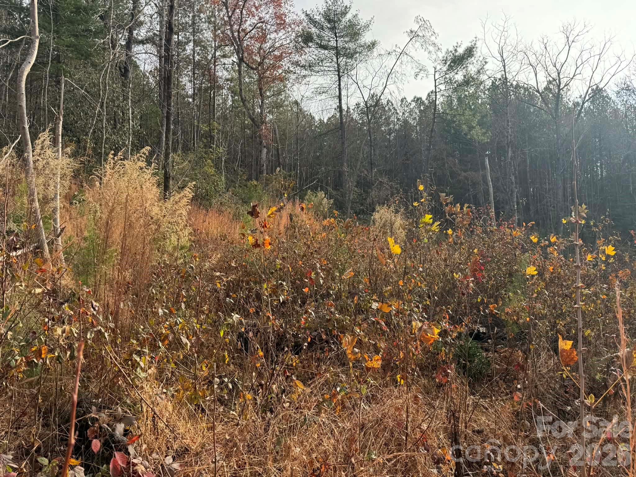 Tbd Old Railroad Grade Road Thurmond NC 28683