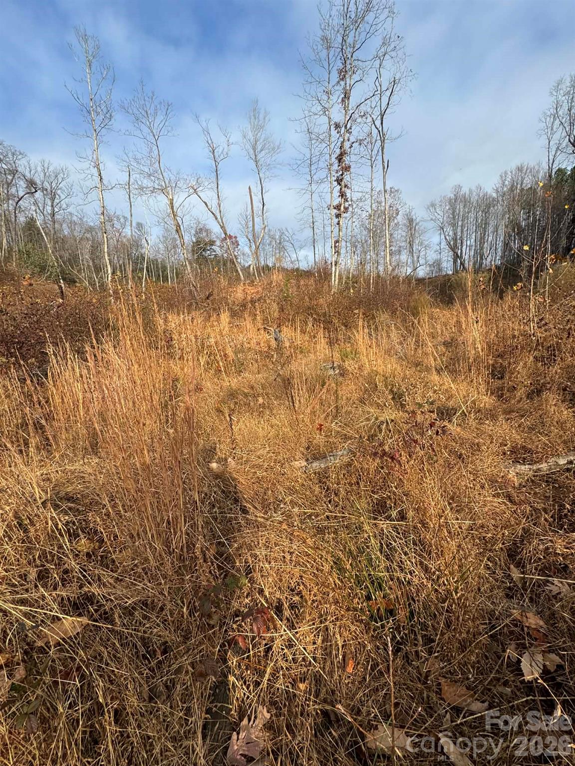 Tbd Old Railroad Grade Road Thurmond NC 28683