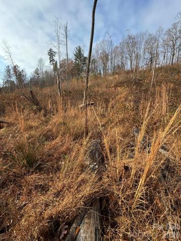 Tbd Old Railroad Grade Road Thurmond NC 28683