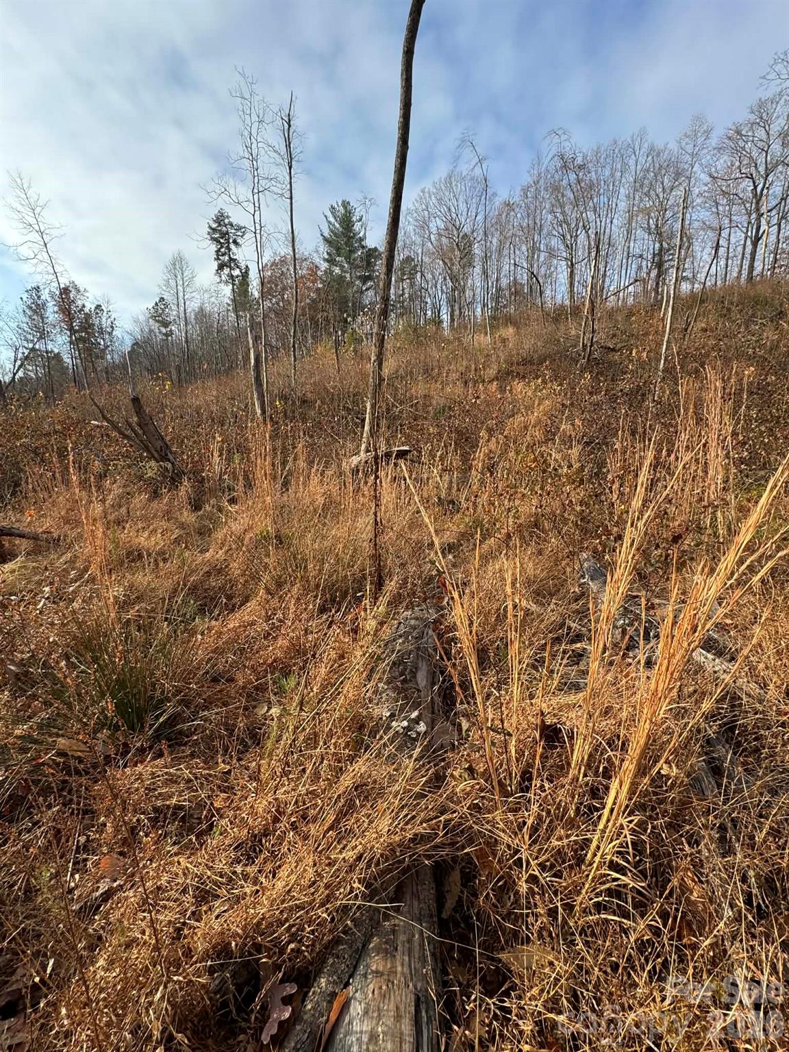 Tbd Old Railroad Grade Road Thurmond NC 28683