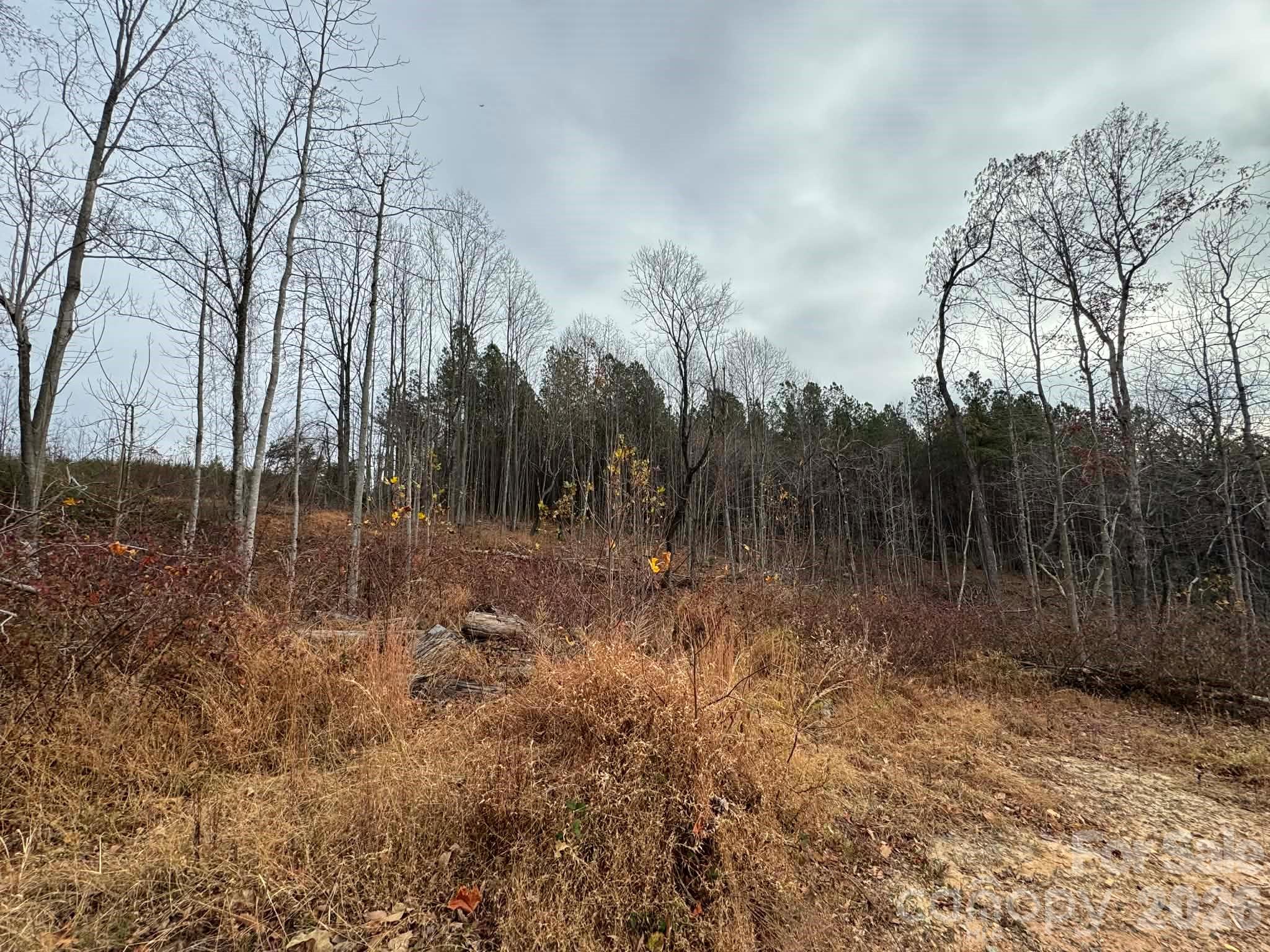 Tbd Old Railroad Grade Road Thurmond NC 28683