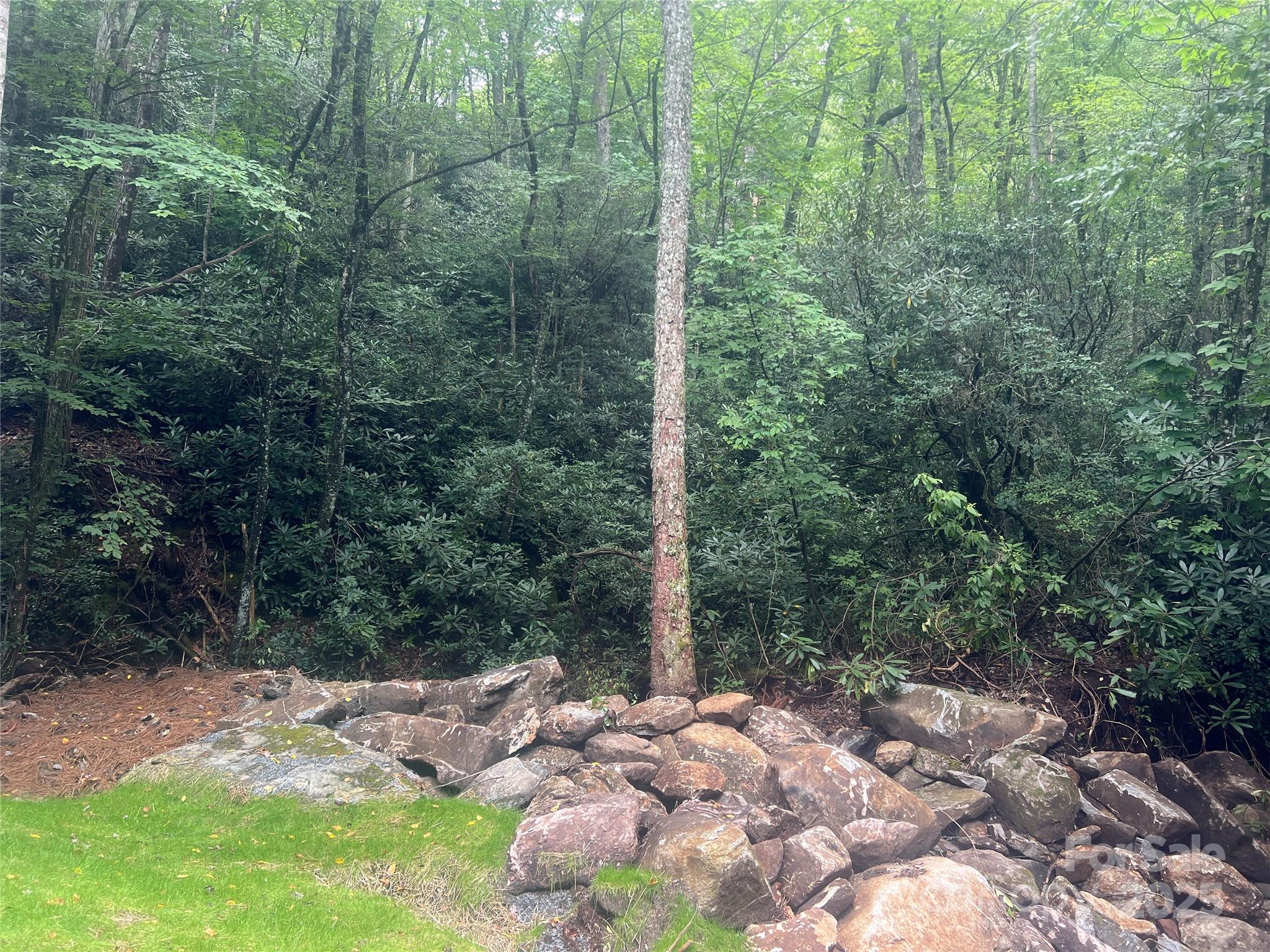 Tbd Fairway Drive Lake Toxaway NC 28747