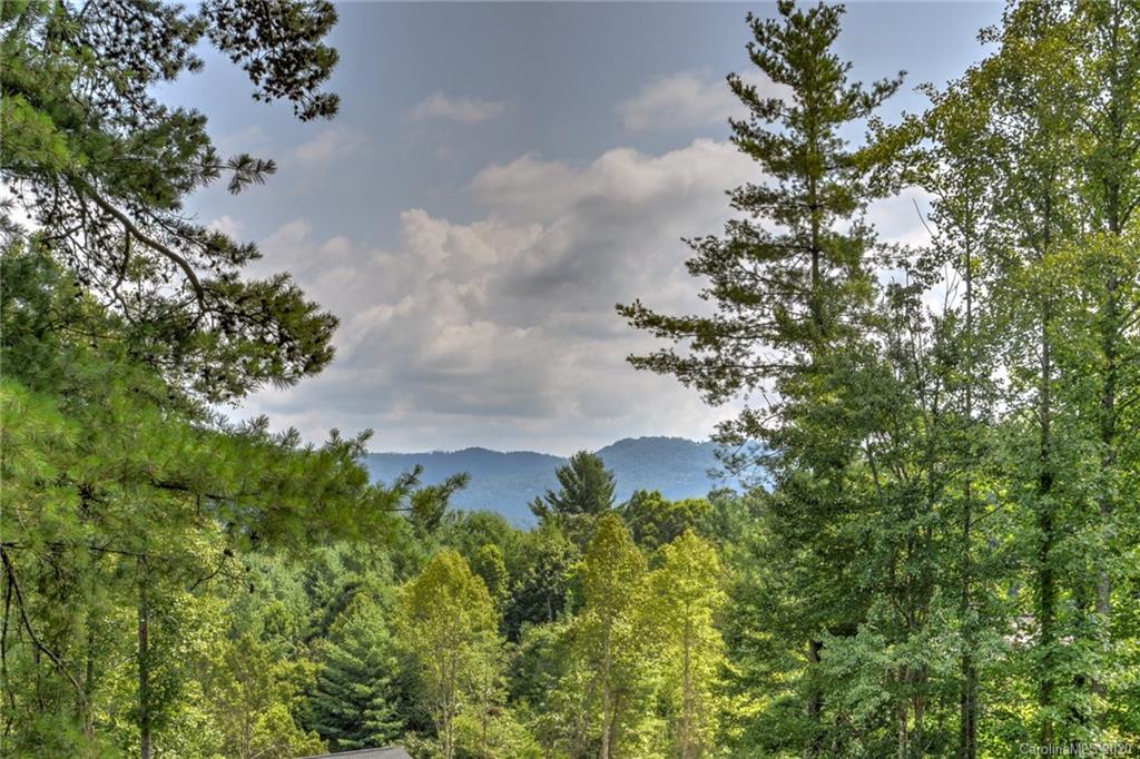 81 Magnolia Farms Drive Asheville NC 28806