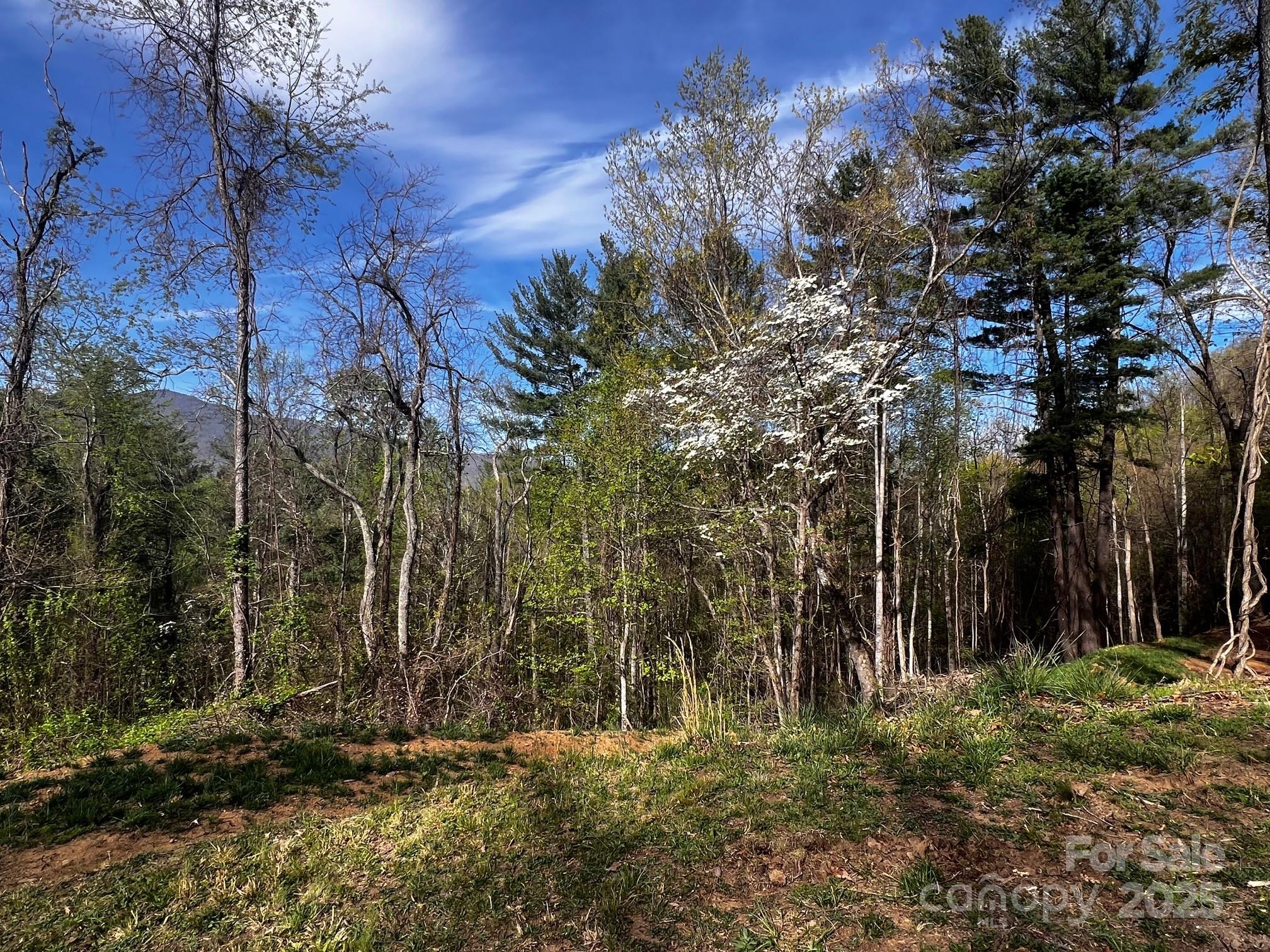0 Little Creek Drive Canton NC 28716