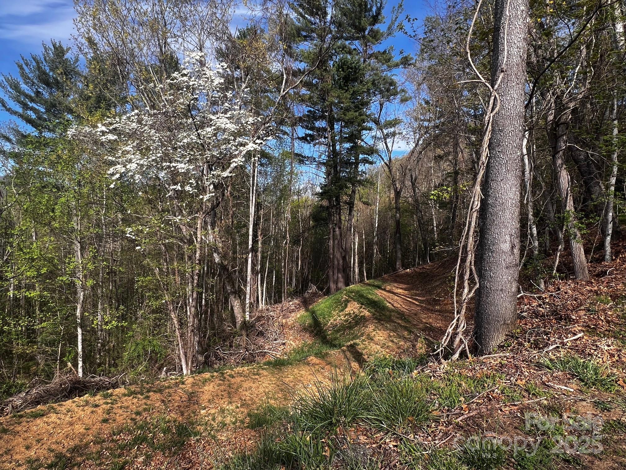 0 Little Creek Drive Canton NC 28716