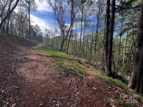0 Little Creek Drive Canton NC 28716