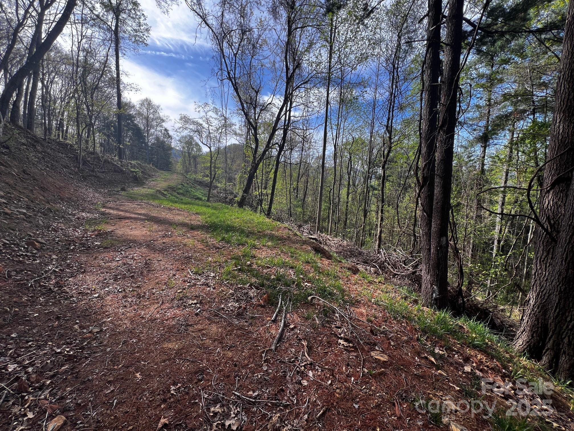 0 Little Creek Drive Canton NC 28716