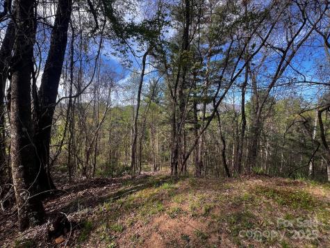 0 Little Creek Drive Canton NC 28716