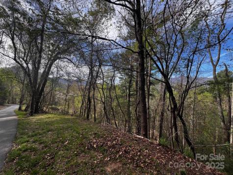 0 Little Creek Drive Canton NC 28716