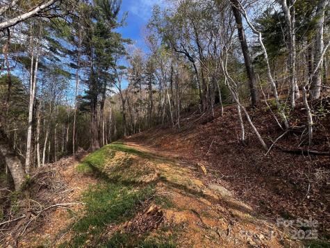 0 Little Creek Drive Canton NC 28716