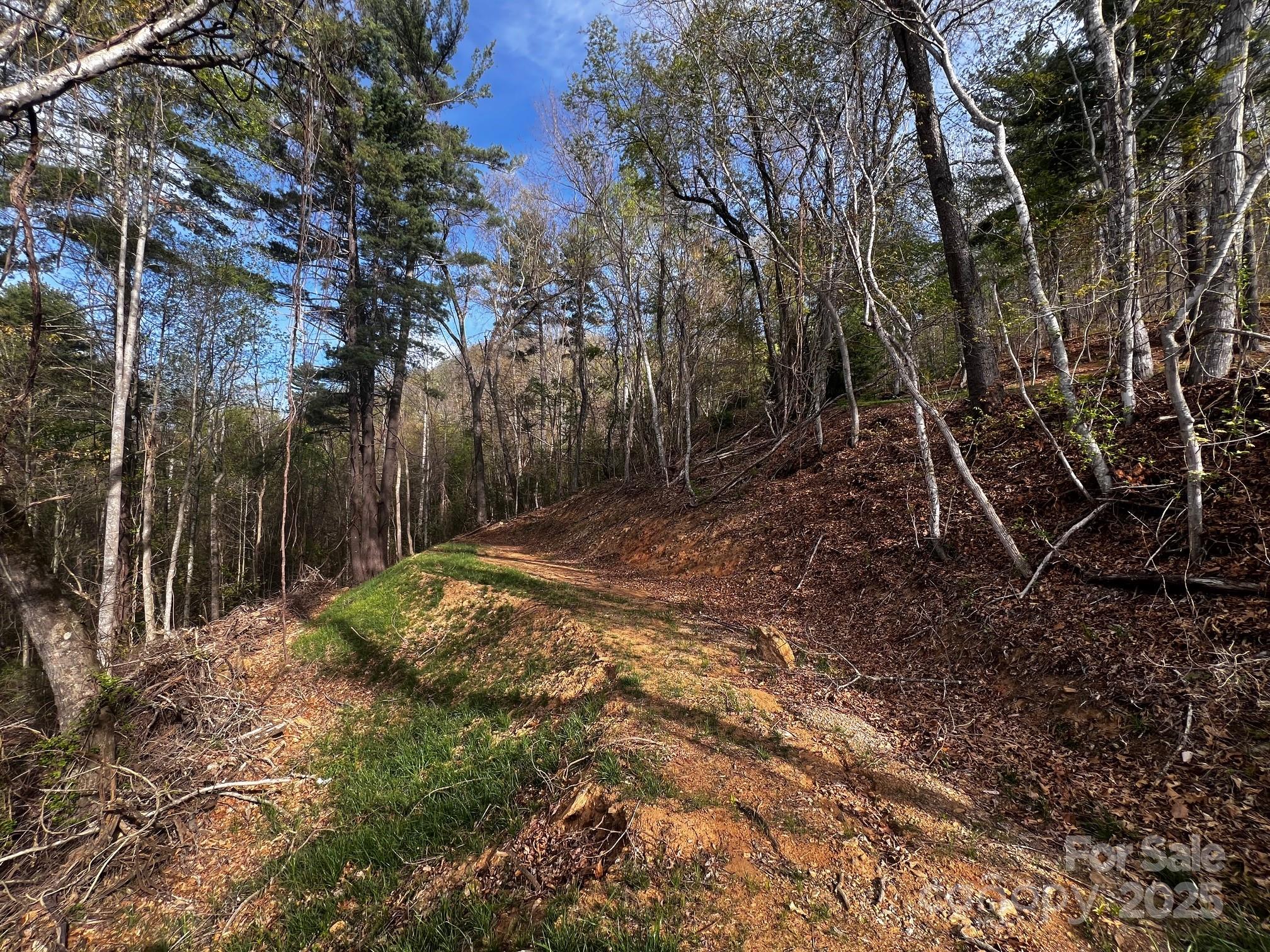 0 Little Creek Drive Canton NC 28716