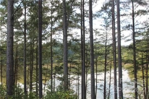 2038 Inlet Shore Road NE Connelly Springs NC 28612