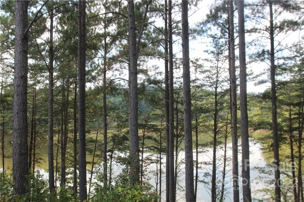 2038 Inlet Shore Road NE Connelly Springs NC 28612