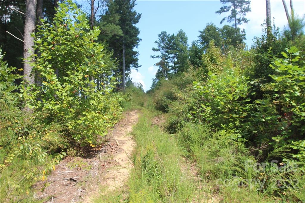 2038 Inlet Shore Road NE Connelly Springs NC 28612