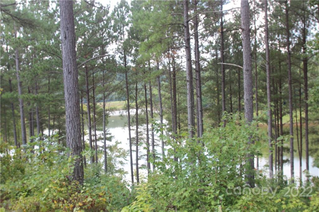 2038 Inlet Shore Road NE Connelly Springs NC 28612