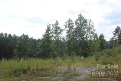 2038 Inlet Shore Road NE Connelly Springs NC 28612