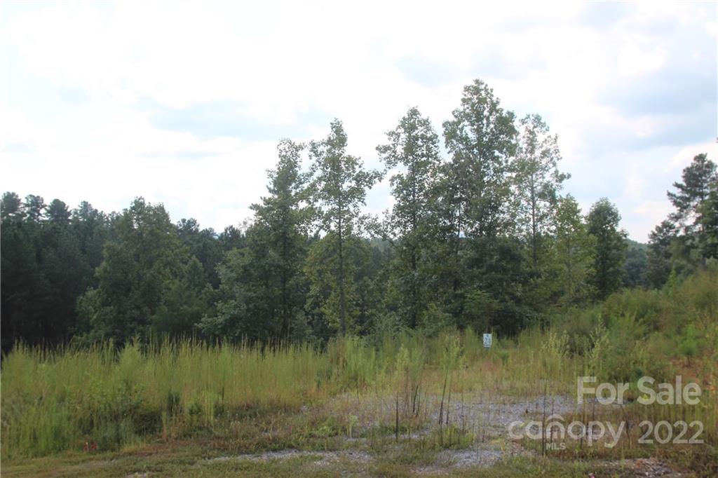 2038 Inlet Shore Road NE Connelly Springs NC 28612