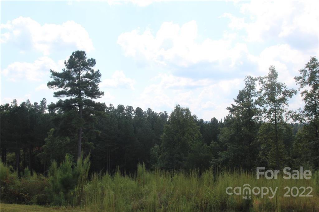 2038 Inlet Shore Road NE Connelly Springs NC 28612