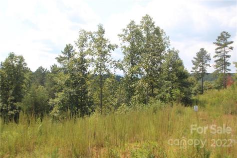 2038 Inlet Shore Road NE Connelly Springs NC 28612