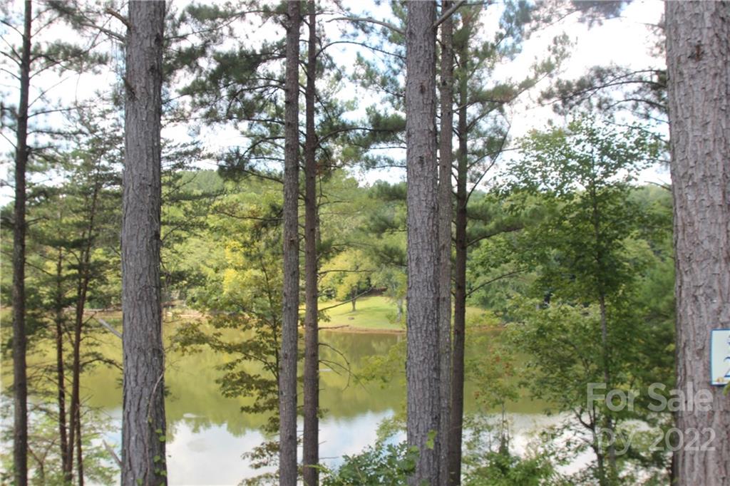 2038 Inlet Shore Road NE Connelly Springs NC 28612