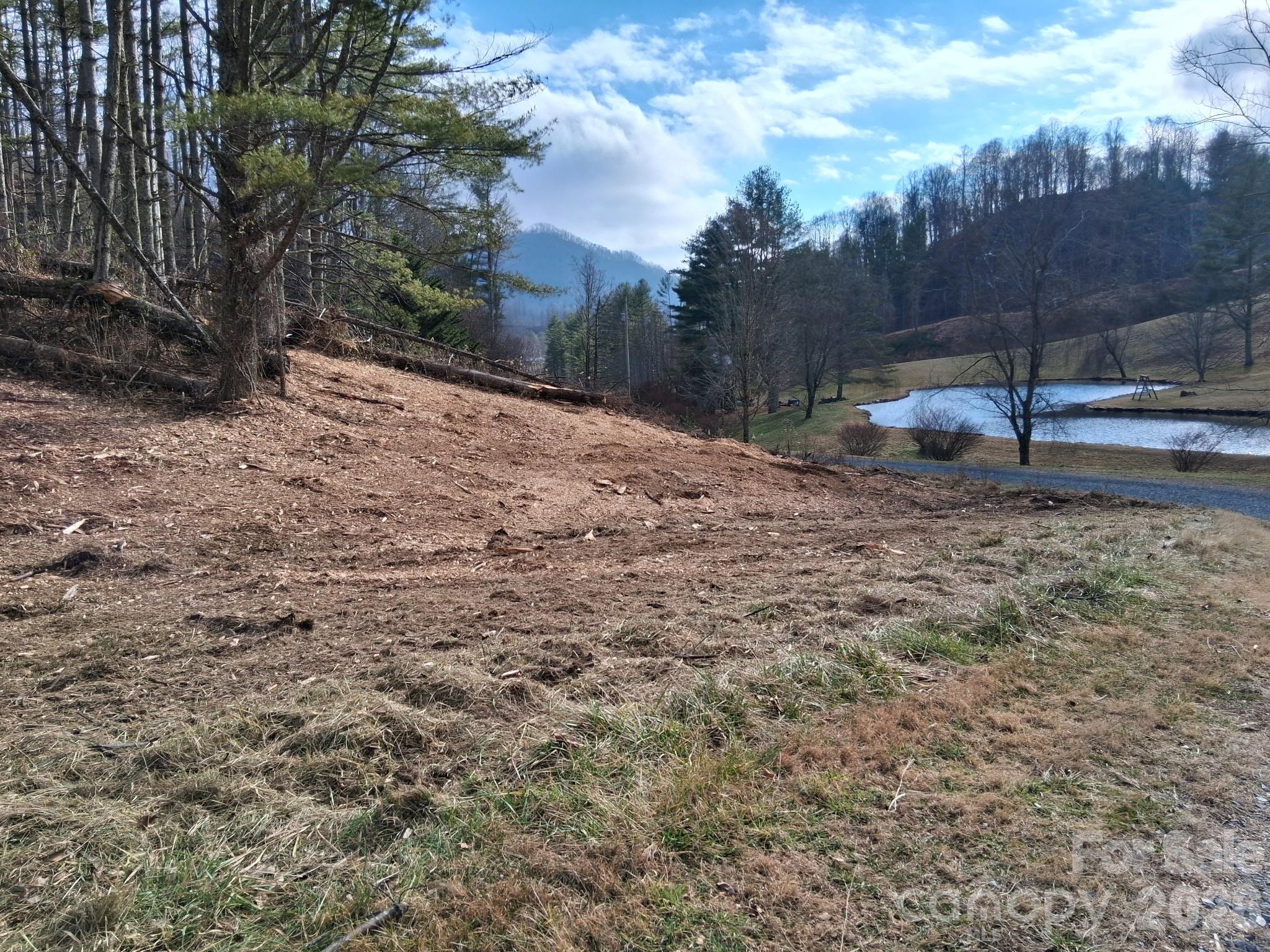99999 Big Rock Creek Drive Bakersville NC 28705