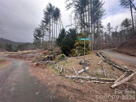 99999 Big Rock Creek Drive Bakersville NC 28705