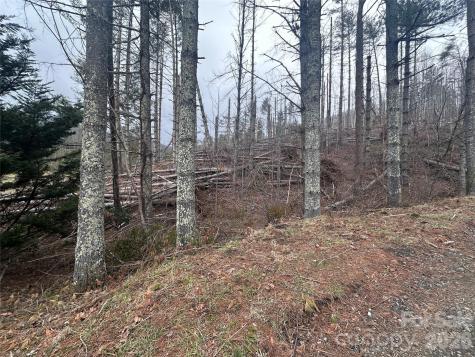 99999 Big Rock Creek Drive Bakersville NC 28705