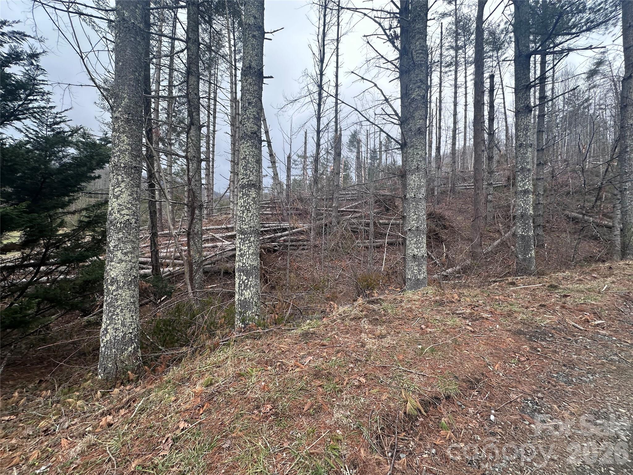 99999 Big Rock Creek Drive Bakersville NC 28705