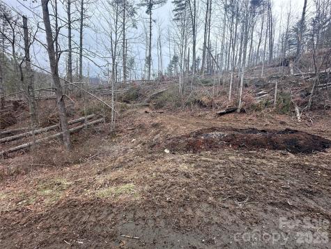 99999 Big Rock Creek Drive Bakersville NC 28705