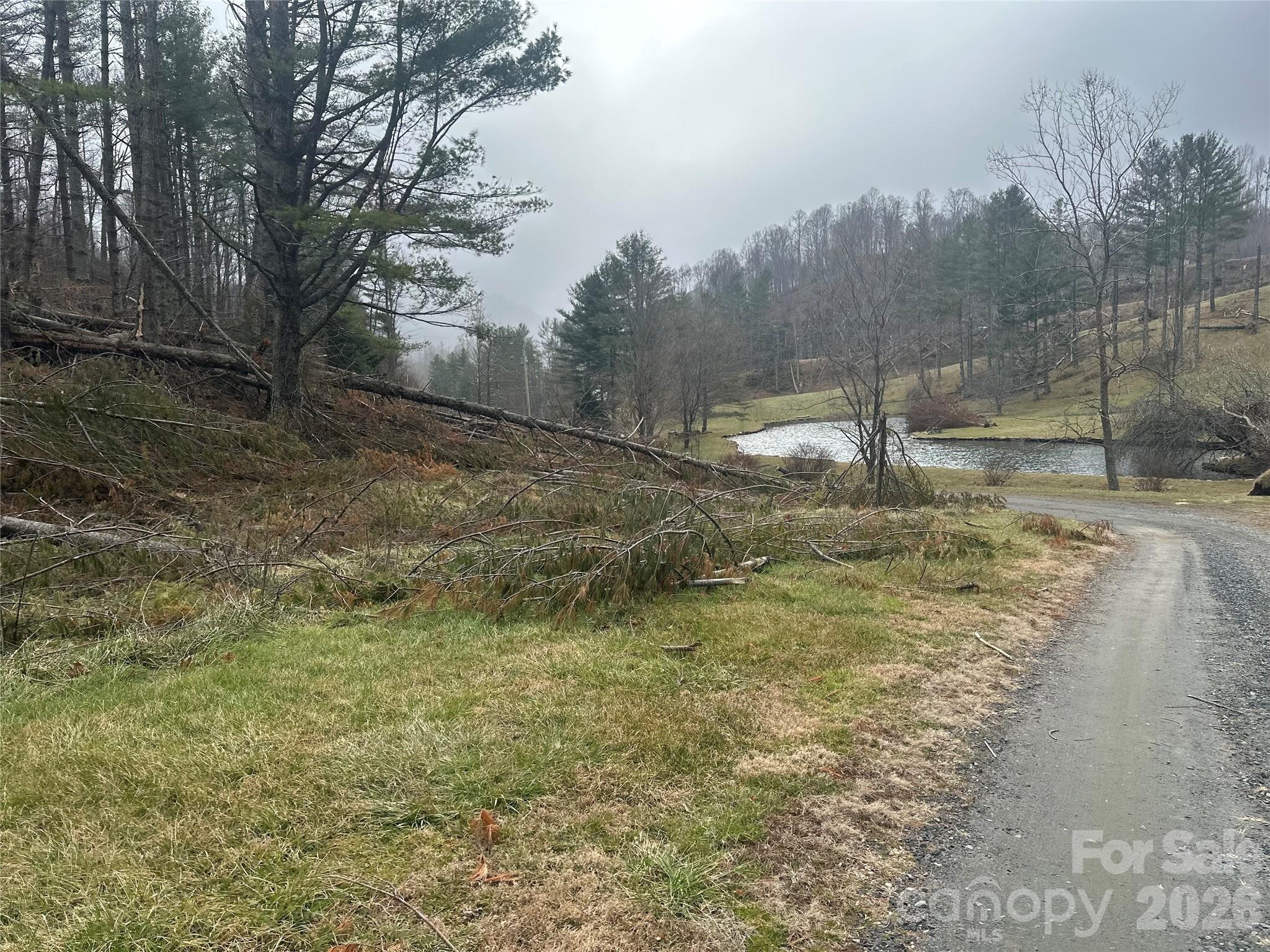 99999 Big Rock Creek Drive Bakersville NC 28705