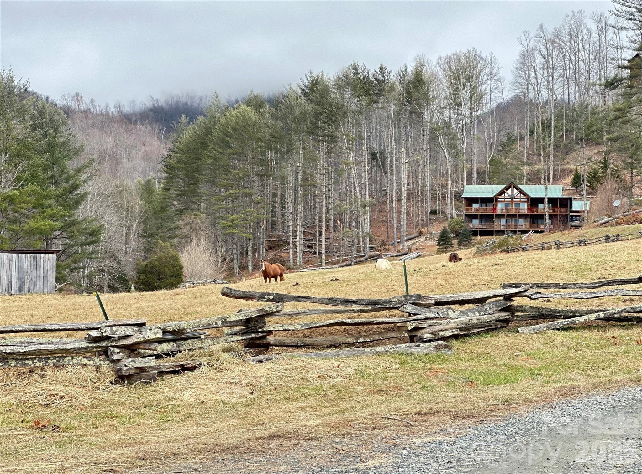 99999 Big Rock Creek Drive Bakersville NC 28705