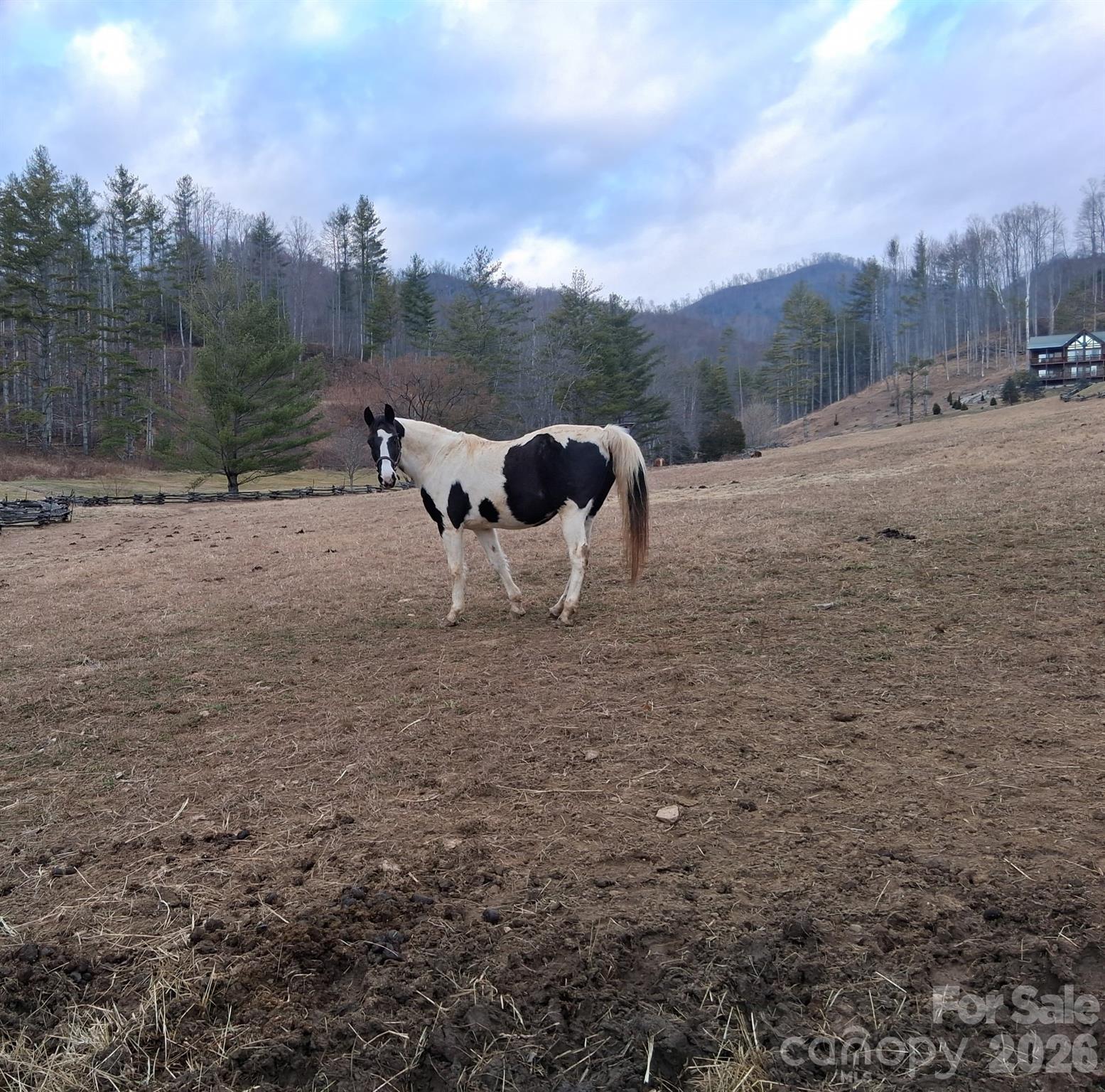 99999 Big Rock Creek Drive Bakersville NC 28705