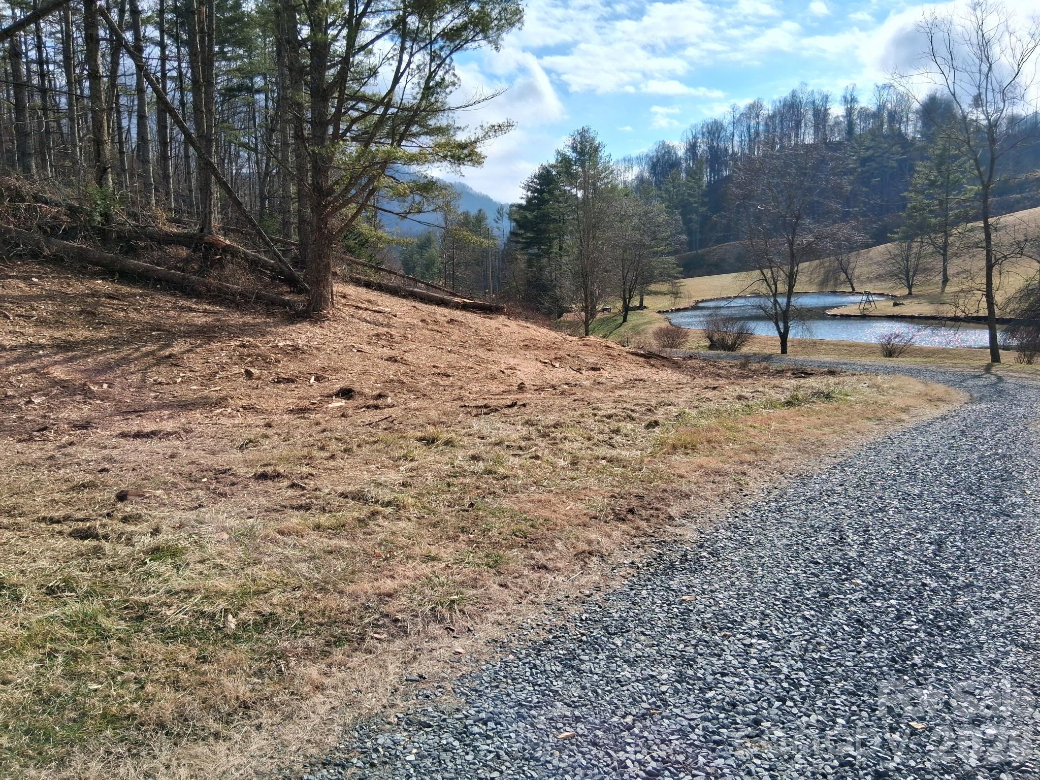 99999 Big Rock Creek Drive Bakersville NC 28705