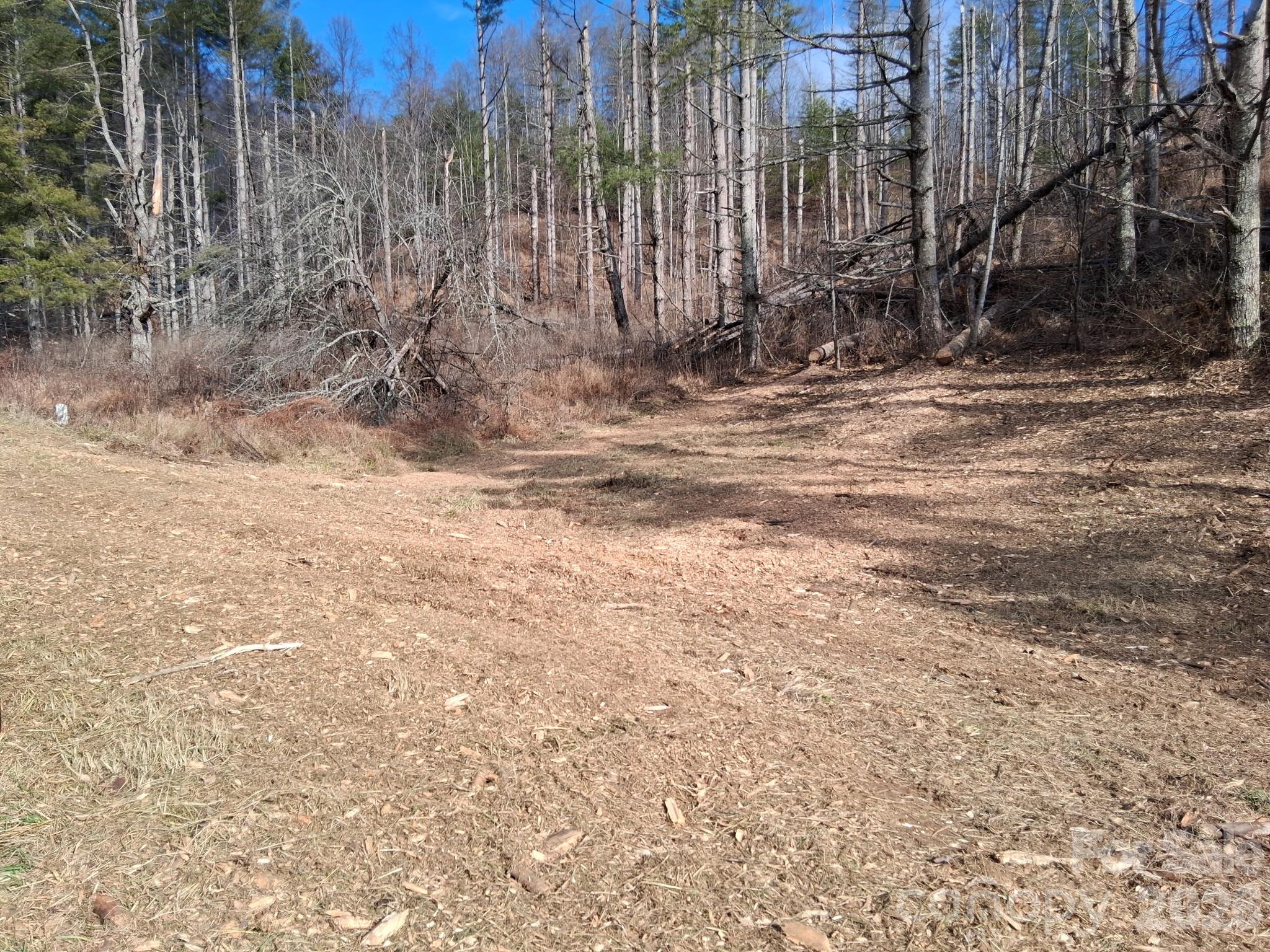 99999 Big Rock Creek Drive Bakersville NC 28705