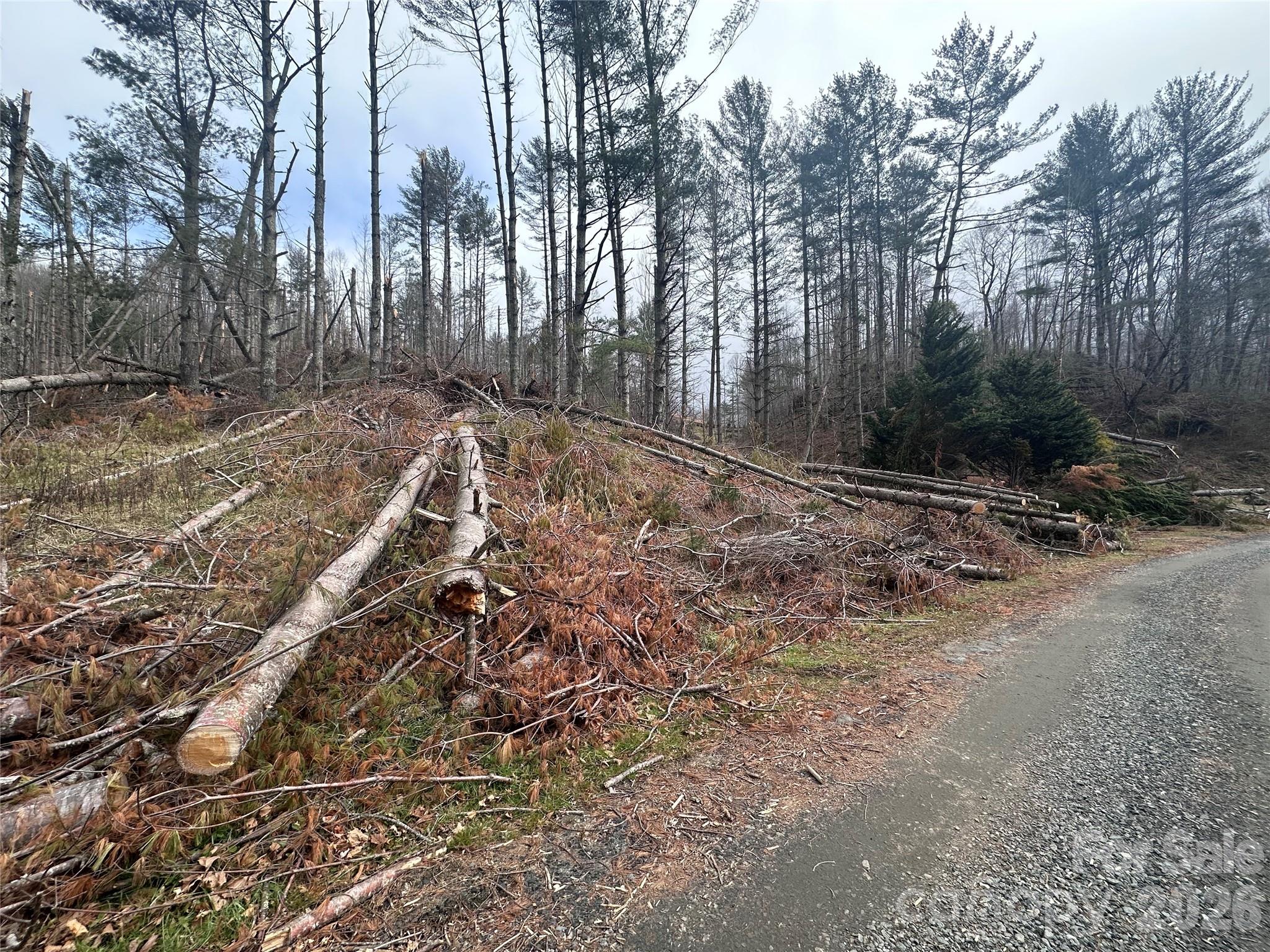 99999 Big Rock Creek Drive Bakersville NC 28705