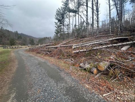 99999 Big Rock Creek Drive Bakersville NC 28705