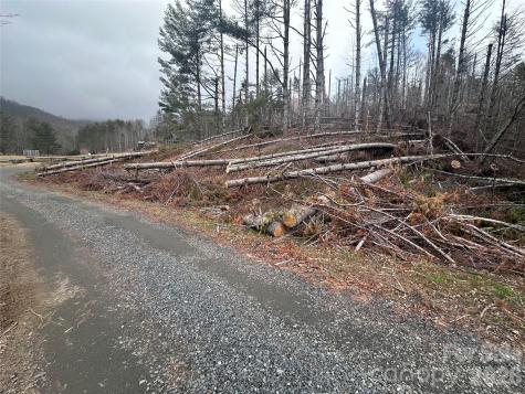 99999 Big Rock Creek Drive Bakersville NC 28705