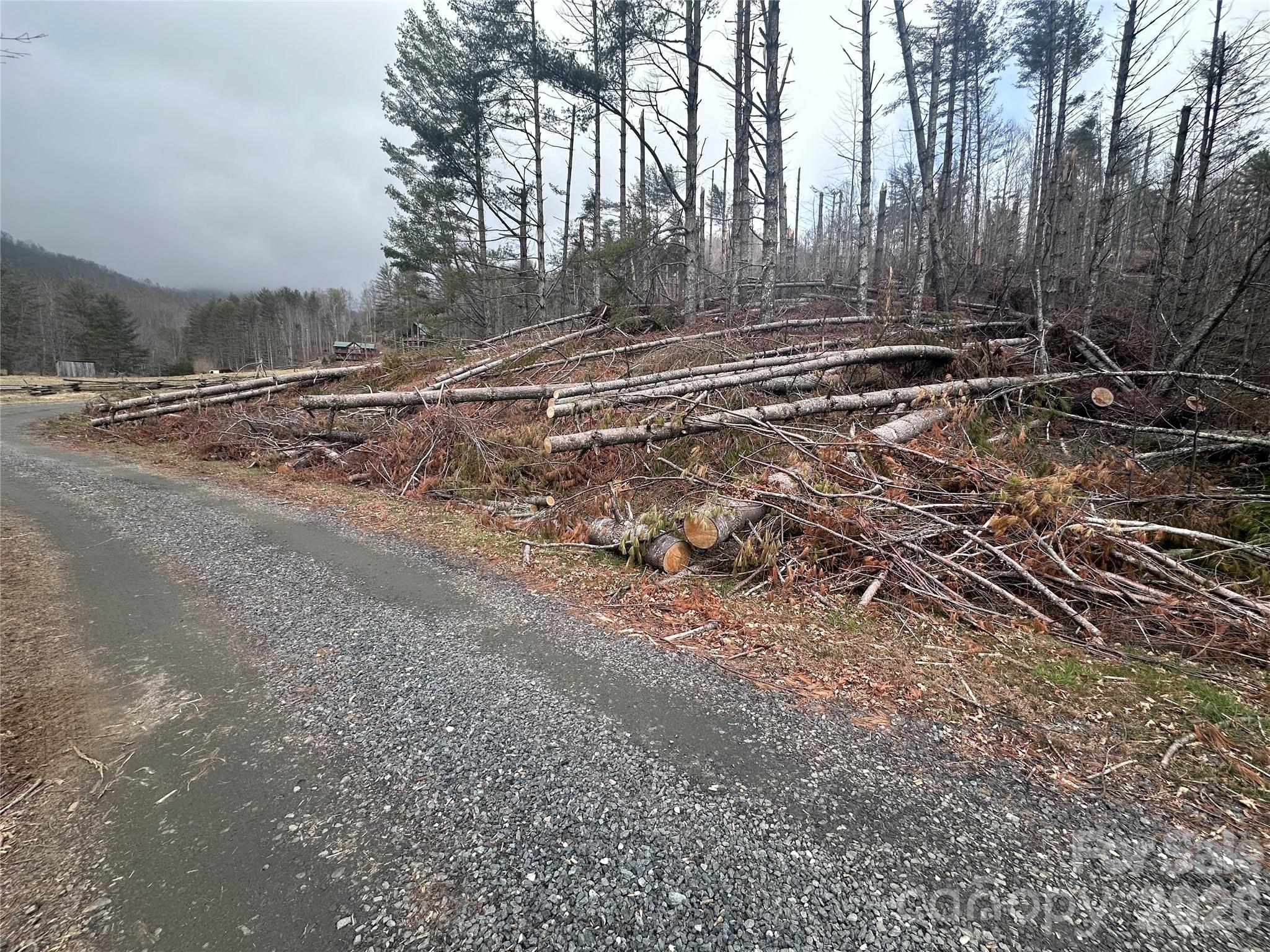 99999 Big Rock Creek Drive Bakersville NC 28705