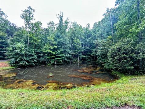 Lot 6 Azalea Way Saluda NC 28773