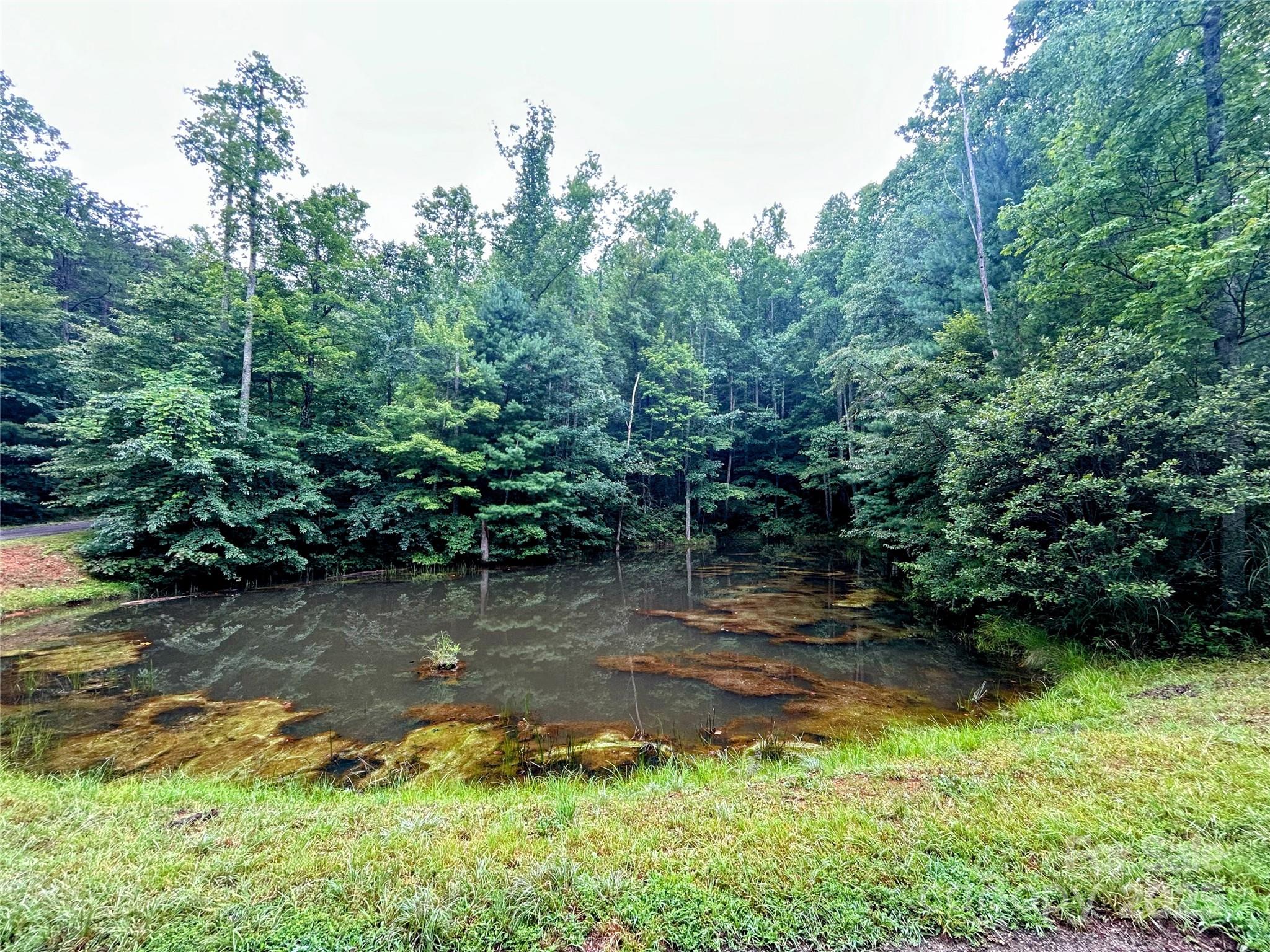 Lot 6 Azalea Way Saluda NC 28773