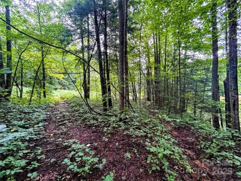 Lot 6 Azalea Way Saluda NC 28773